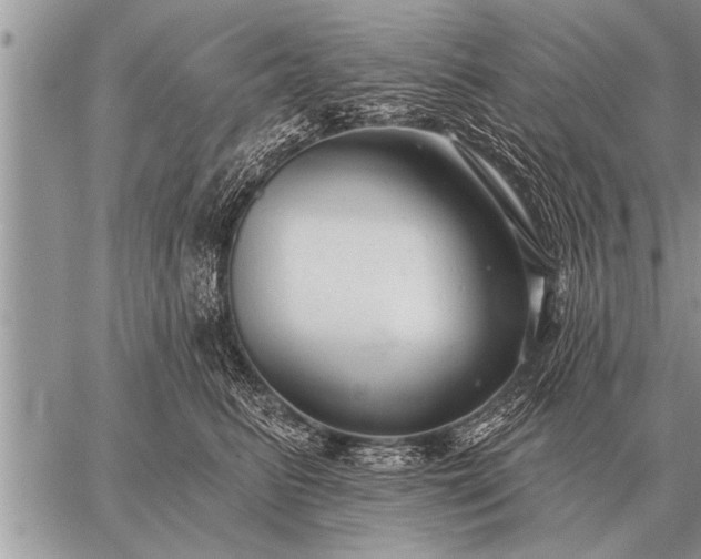 X0000059040615200510171850