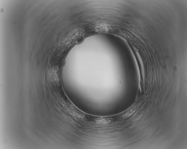 X0000059040616200510171850