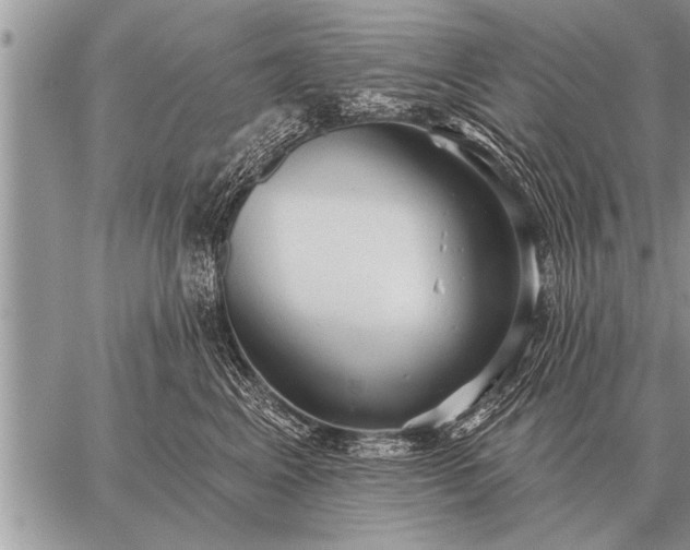 X0000059040617200510171850