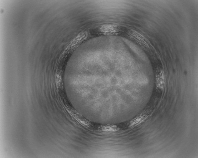 X0000059040618200510171850