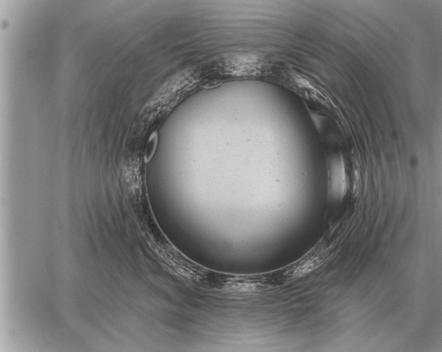 X0000059040620200510171850