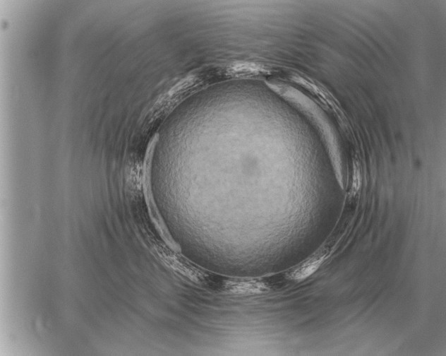 X0000059040621200510171850