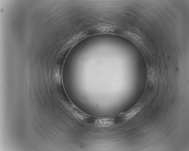 X0000059040622200510171850