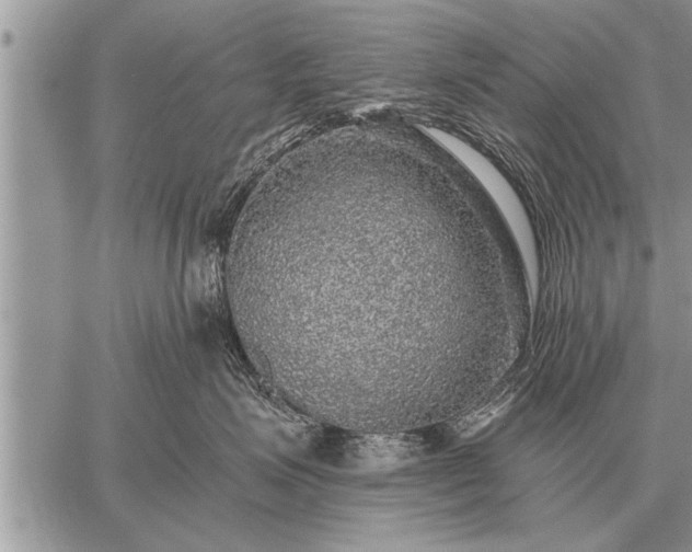 X0000059040623200510171850