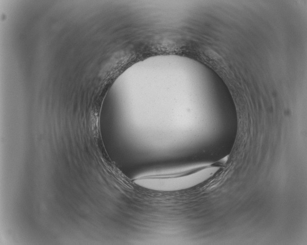 X0000059040624200510171850