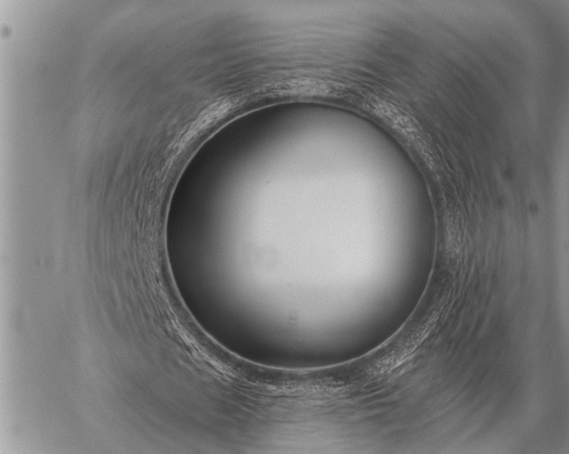 X0000059040625200510171849