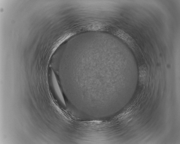 X0000059040626200510171849