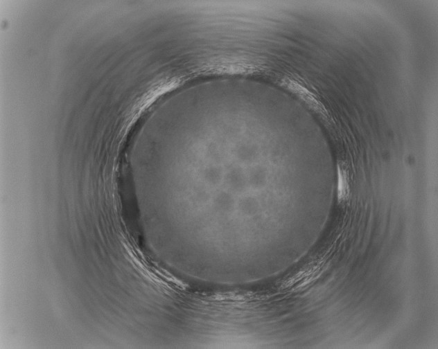 X0000059040627200510171849