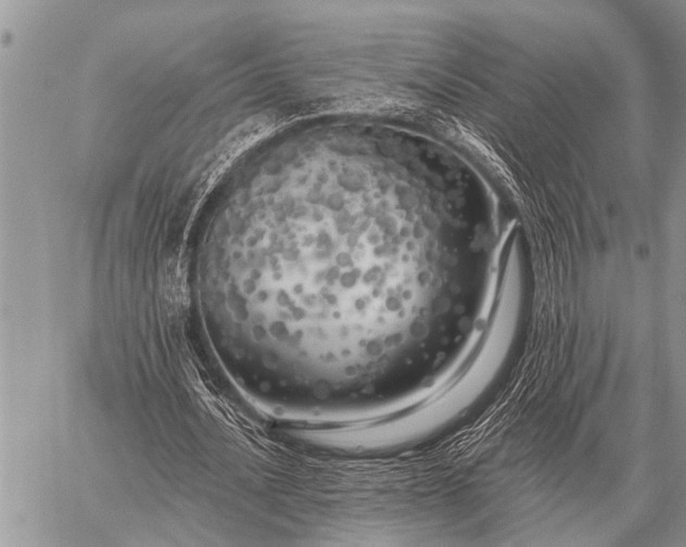 X0000059040628200510171849