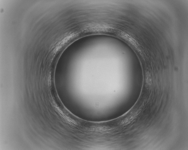 X0000059040629200510171849