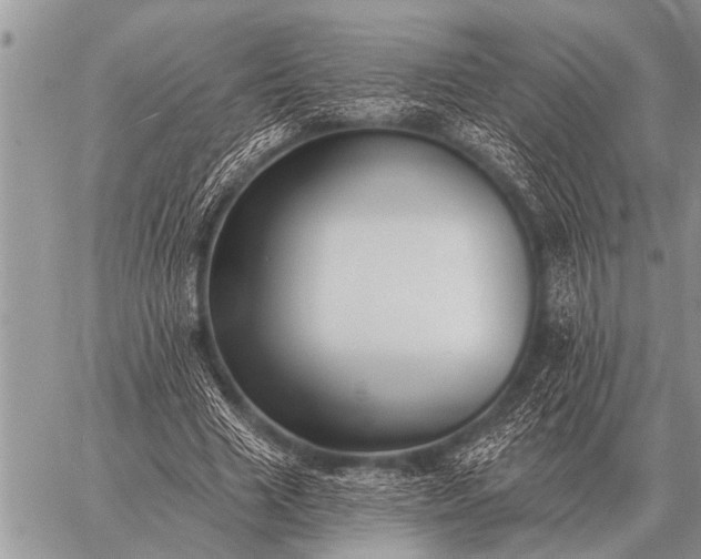 X0000059040633200510171849