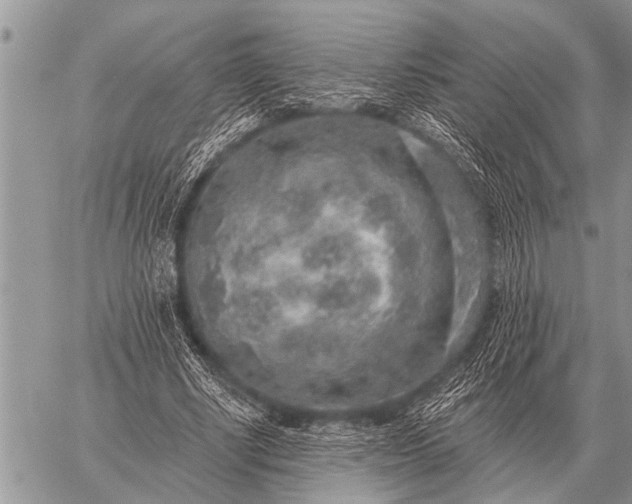 X0000059040634200510171849