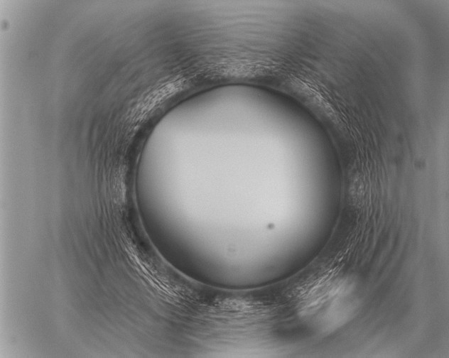 X0000059040635200510171849