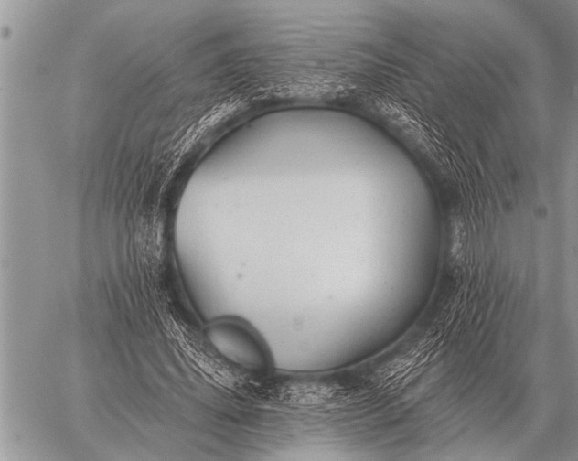 X0000059040636200510171849