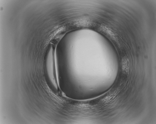 X0000059040637200510171849