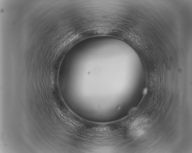 X0000059040639200510171849