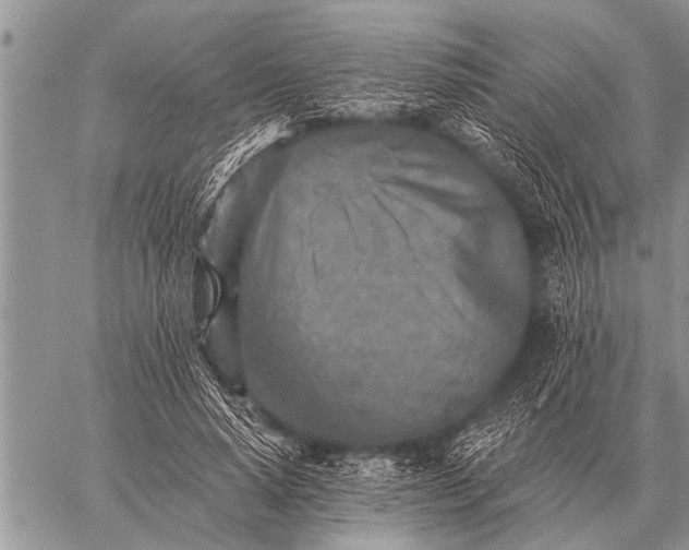 X0000059040640200510171849