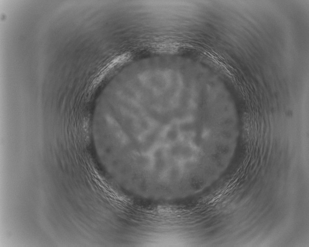 X0000059040641200510171849