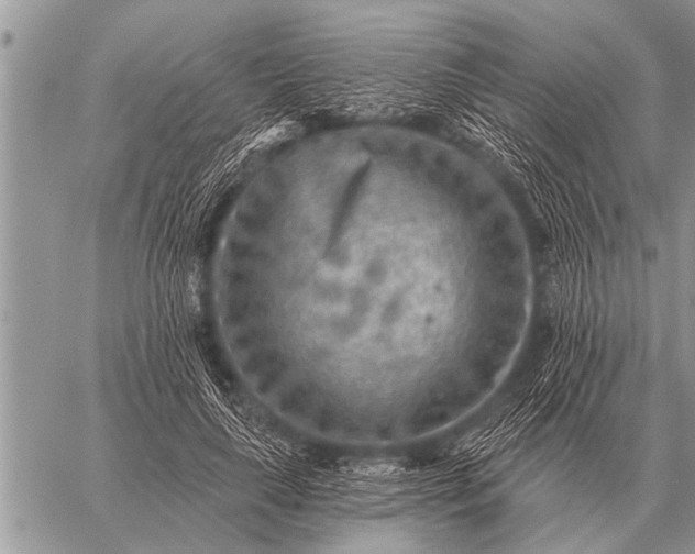 X0000059040643200510171849