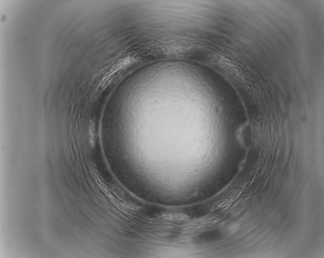 X0000059040644200510171849