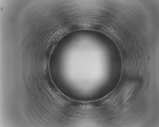 X0000059040645200510171849