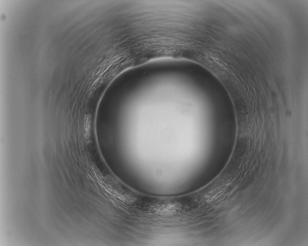 X0000059040646200510171849