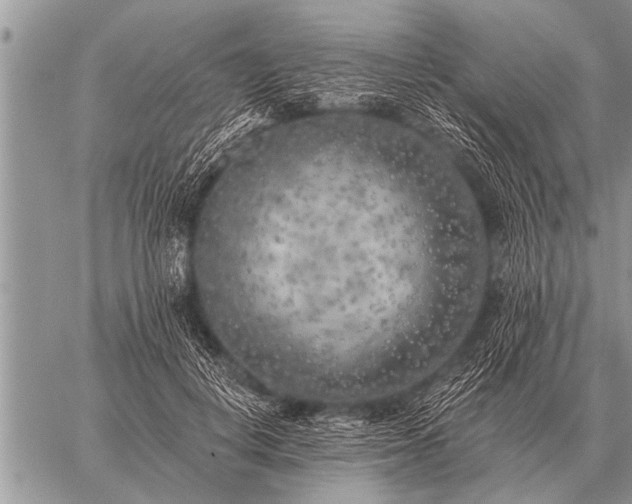 X0000059040648200510171849