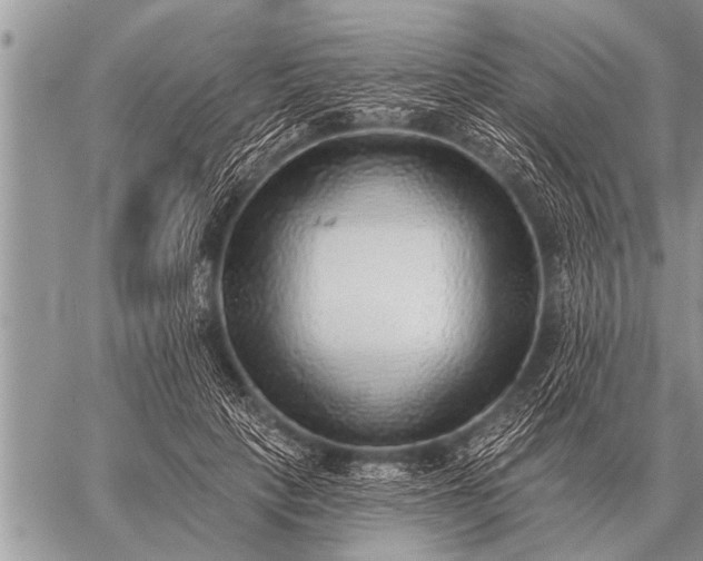 X0000059040649200510171849