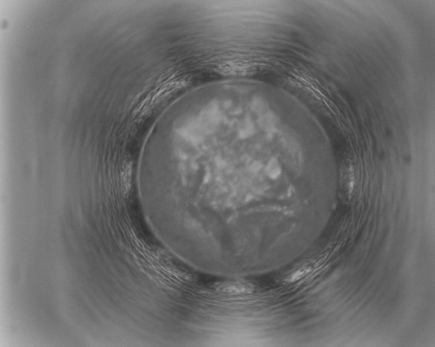 X0000059040652200510171849