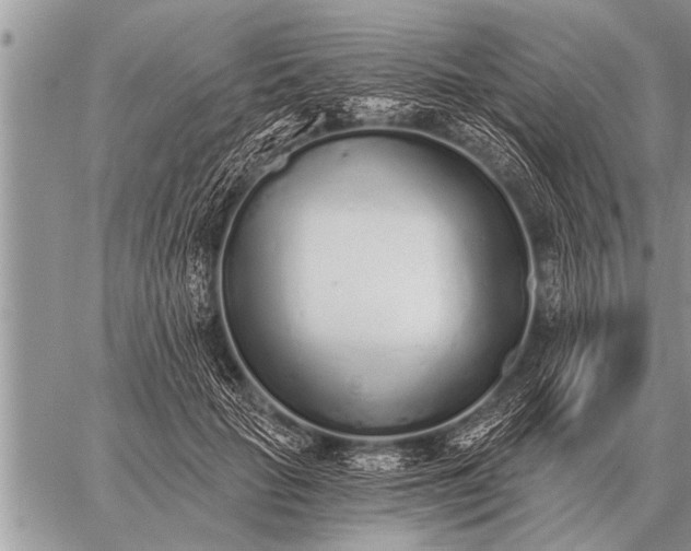 X0000059040653200510171849