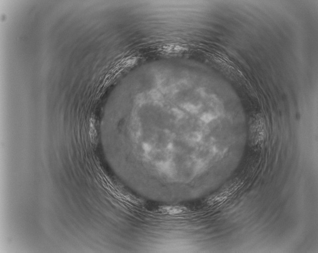 X0000059040654200510171850