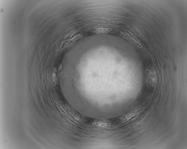 X0000059040655200510171850