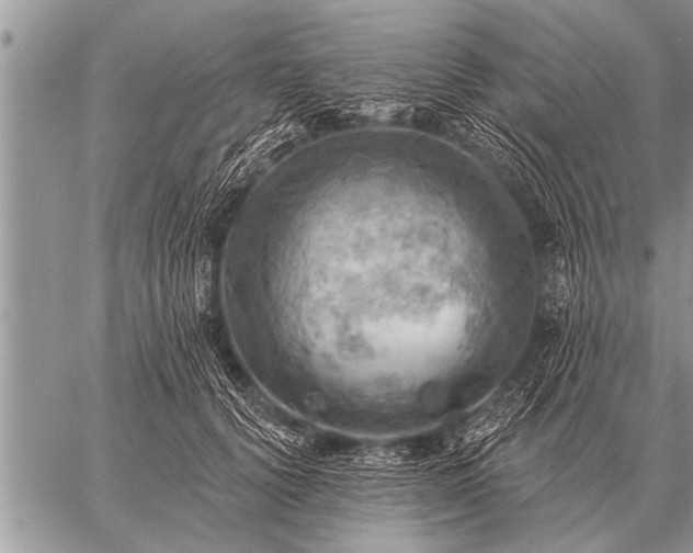 X0000059040656200510171850