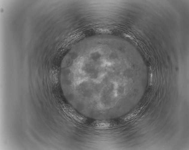 X0000059040658200510171850