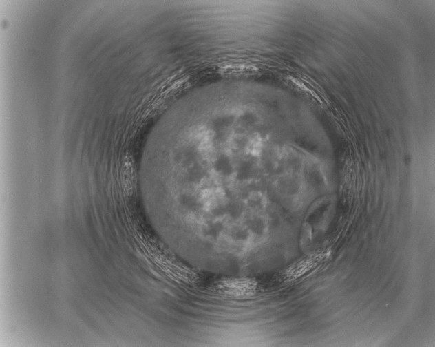 X0000059040659200510171850