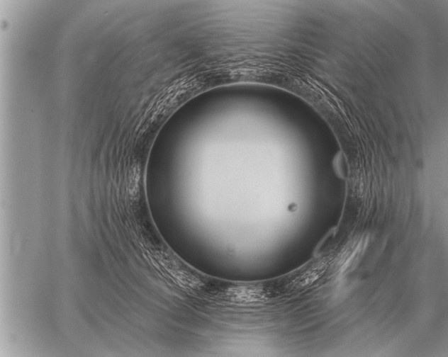 X0000059040660200510171850