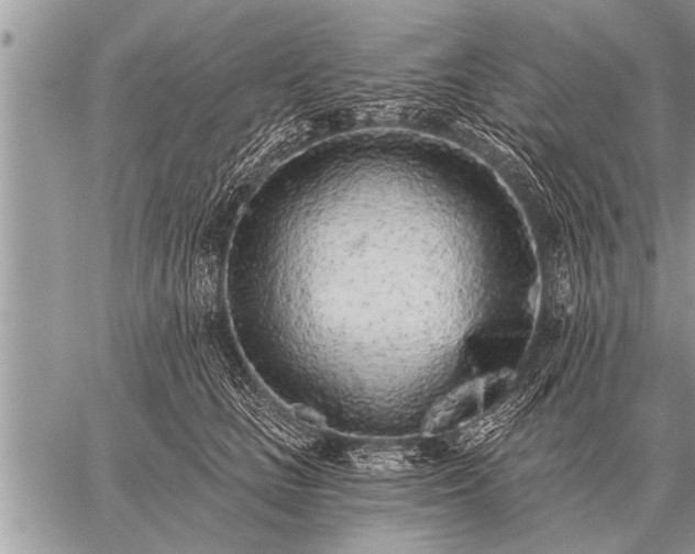 X0000059040661200510171850