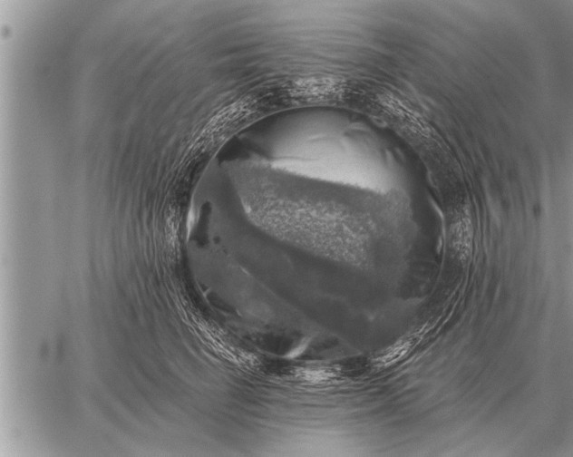 X0000059040662200510171850