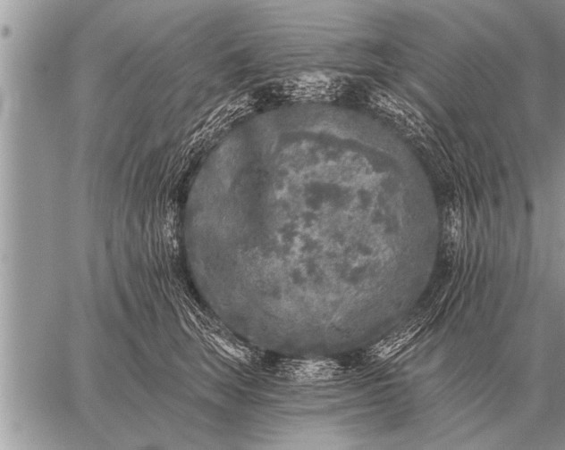 X0000059040663200510171850