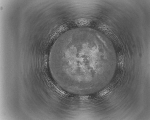 X0000059040664200510171850