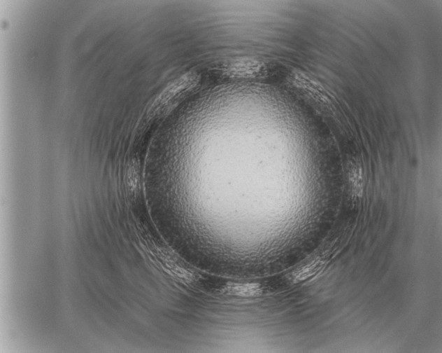 X0000059040665200510171850