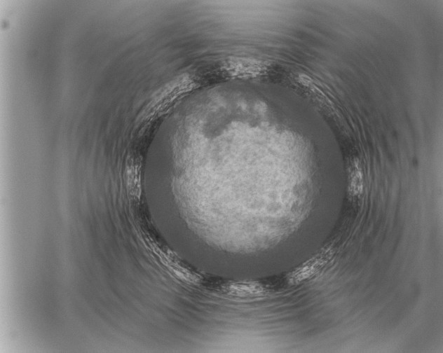 X0000059040666200510171850