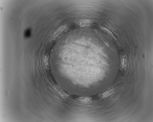 X0000059040667200510171850