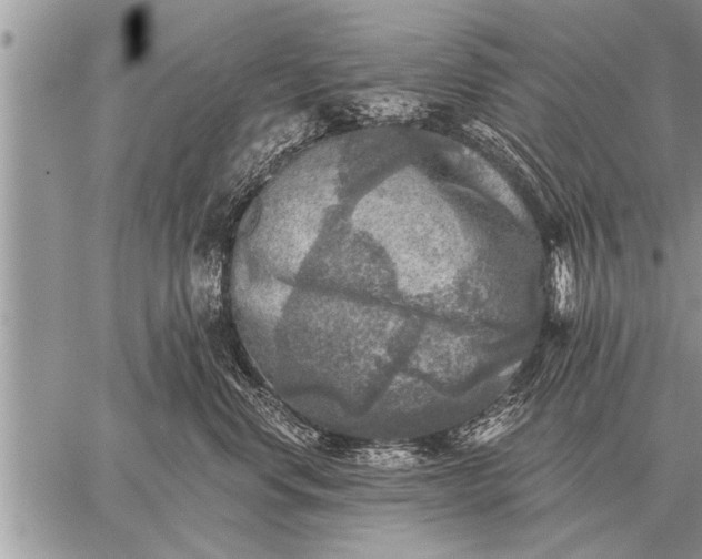 X0000059040668200510171850