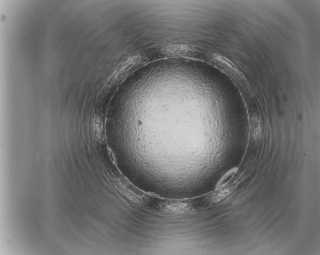 X0000059040669200510171850