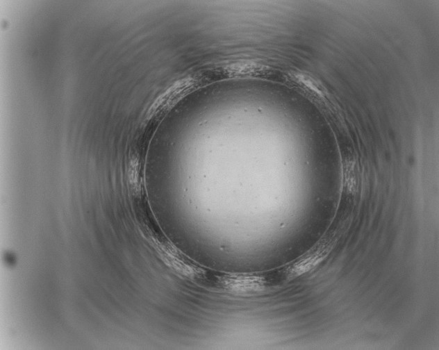 X0000059040670200510171850