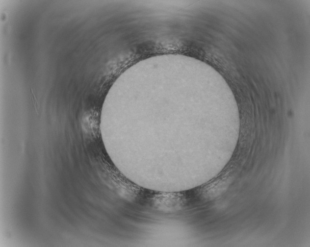 X0000059040672200510171850