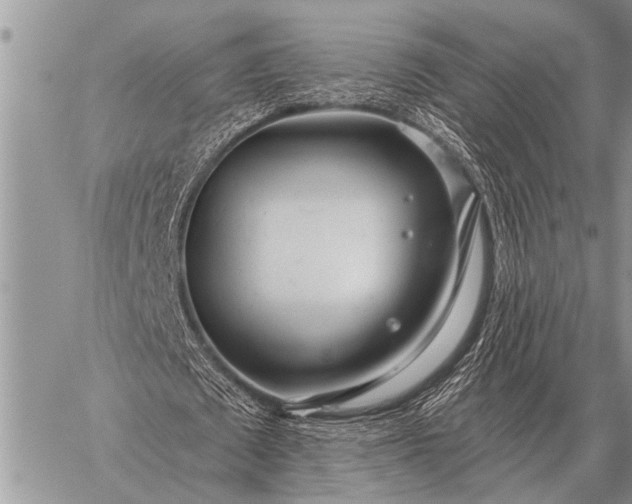 X0000059040673200510171849