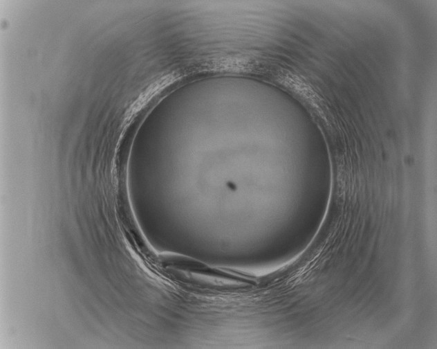 X0000059040674200510171849