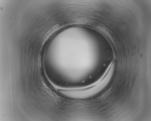 X0000059040676200510171849